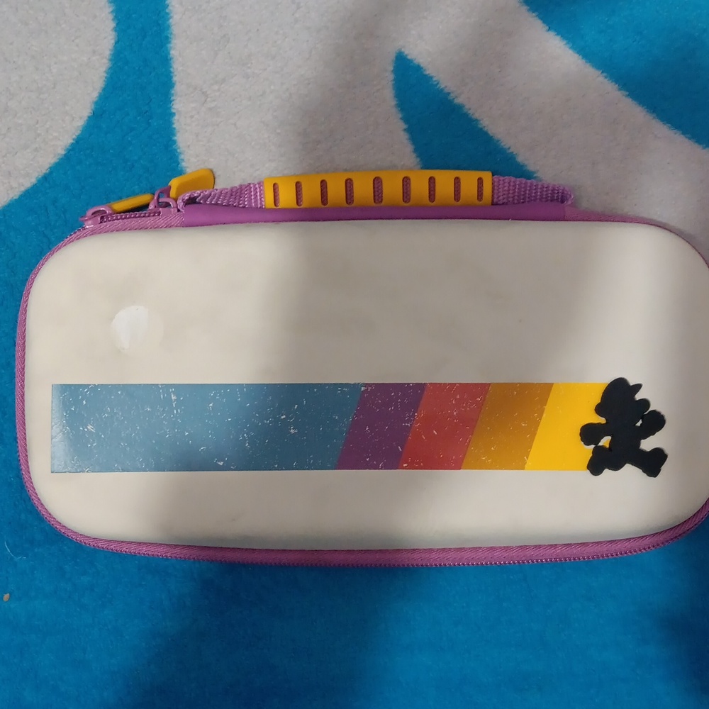 Ds case